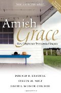 Amish Grace: How Forgiveness Transcended Tragedy Amish Grace: How Forgiveness Transcended Tragedy
