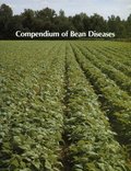 Compendium of Bean Diseases (Aps Disease Compendium Series) Compendium of Bean Diseases (Aps Disease Compendium Series)
