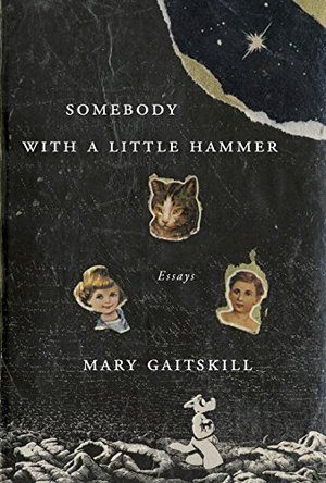 Somebody with a Little Hammer: Essays Somebody with a Little Hammer: Essays