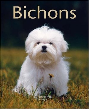 Bichons : Bien les comprendre et bien les soigner, les conseils d'un expert pour votre animal favori Bichons : Bien les comprendre et bien les soigner, les conseils d'un expert pour votre animal favori