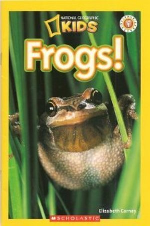 Frogs! Frogs!