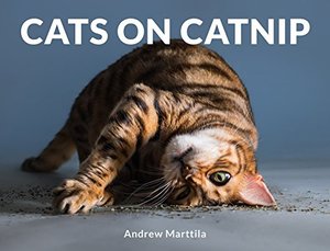 Cats on Catnip Cats on Catnip