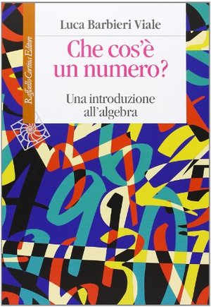 Che cos'è un numero. Un'introduzione all'algebra Che cos'è un numero. Un'introduzione all'algebra