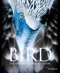 Bird Bird