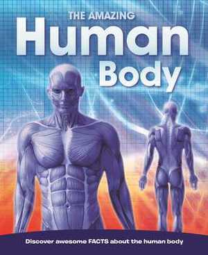 Amazing Human Body Amazing Human Body