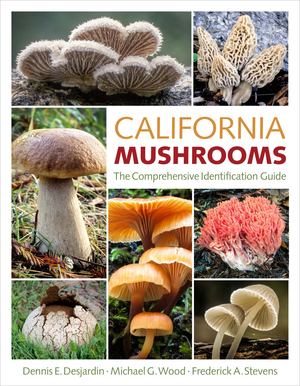 California Mushrooms California Mushrooms