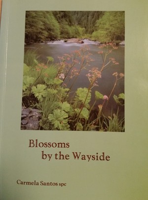 Blossoms by the Wayside Blossoms by the Wayside