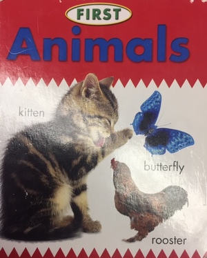 First Animals First Animals