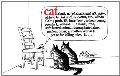 Cat Cat