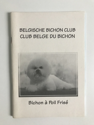 Bichon à Poil Frisé Bichon à Poil Frisé