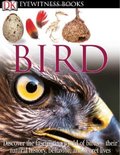 Bird (DK Eyewitness Books) Bird (DK Eyewitness Books)
