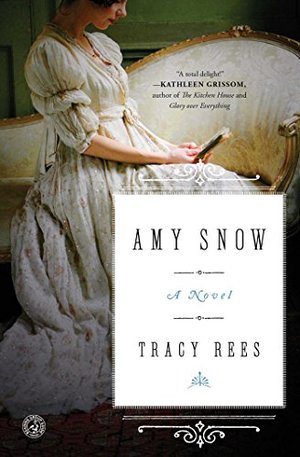 Amy Snow: A Novel Amy Snow: A Novel
