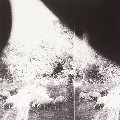 Asunder, Sweet And Other Distress (180 Gram Vinyl) Asunder, Sweet And Other Distress (180 Gram Vinyl)