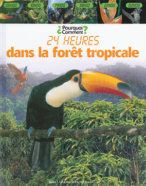 24 Heures Dans la Forêt Tropicale 24 Heures Dans la Forêt Tropicale