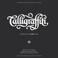 Calligraffiti: The Graphic Art of Niels Shoe Meulman Calligraffiti: The Graphic Art of Niels Shoe Meulman