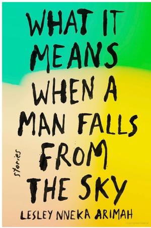 What It Means When a Man Falls from the Sky What It Means When a Man Falls from the Sky