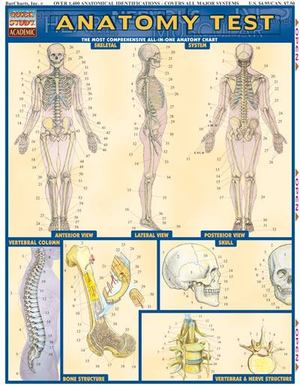 Anatomy Test (Quick Study Academic) Anatomy Test (Quick Study Academic)
