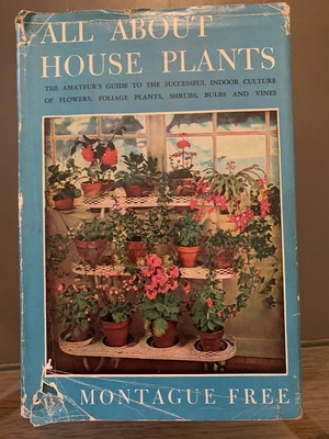 All About House Plants All About House Plants