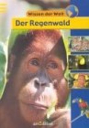 Der Regenwald Der Regenwald