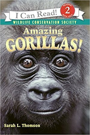 Amazing Gorillas! Amazing Gorillas!