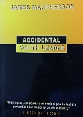 Accidental Youth Leader Accidental Youth Leader