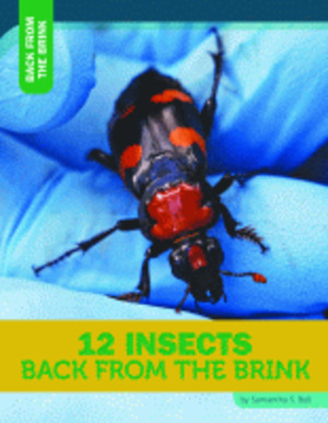 12 insects back from the brink 12 insects back from the brink