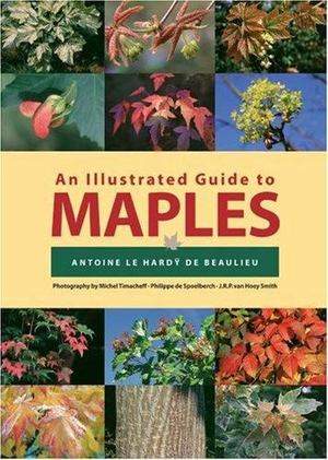 Illustrated Guide to Maples, An Illustrated Guide to Maples, An