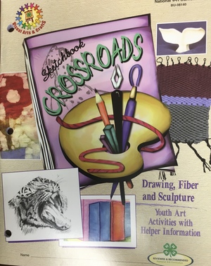 Sketchbook Crossroads: Drawing, Fiber and Sculpture Sketchbook Crossroads: Drawing, Fiber and Sculpture