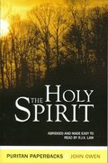 Holy Spirit Holy Spirit
