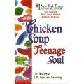 Chicken Soup for the Teenage Soul Chicken Soup for the Teenage Soul