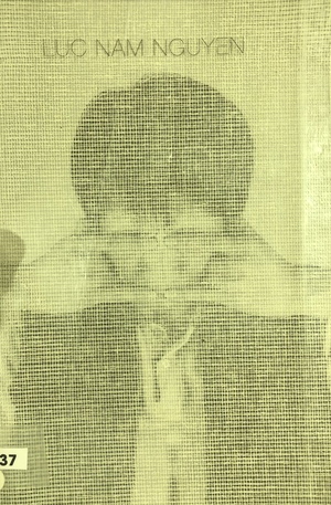 LUC NAM NGUYEN LUC NAM NGUYEN