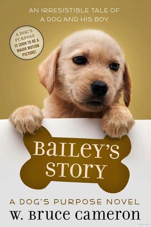 Bailey's Story Bailey's Story