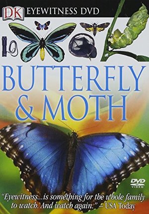 Eyewitness: Butterfly and Moth Eyewitness: Butterfly and Moth