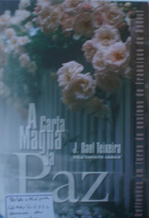 Carta Magna da Paz, A Carta Magna da Paz, A