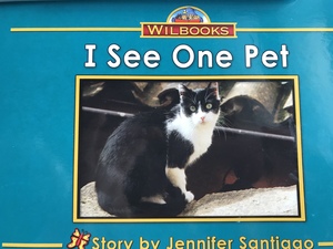 I See One Pet (6) I See One Pet (6)