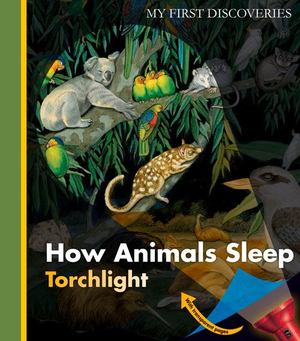 How Animals Sleep How Animals Sleep