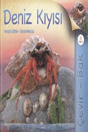 Cevir Bak Deniz Kiyisi Cevir Bak Deniz Kiyisi