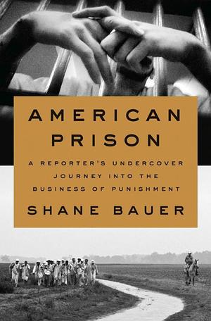 American Prison American Prison