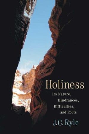 Holiness Holiness