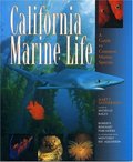 California Marine Life California Marine Life