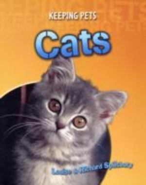 Cats Cats