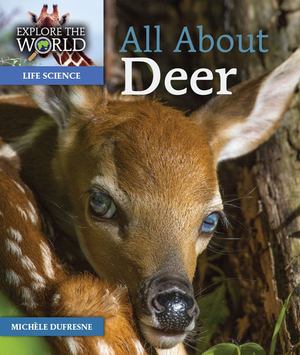 All about Deer All about Deer