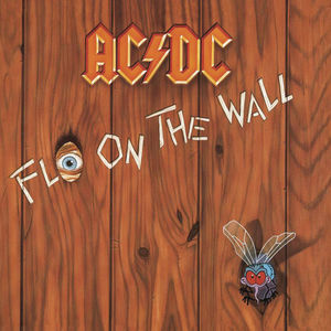 Fly on the Wall Fly on the Wall