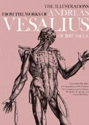 Anatomical Drawings Of Andreas Vesalius, The Anatomical Drawings Of Andreas Vesalius, The