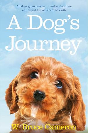 Dog's Journey, A Dog's Journey, A