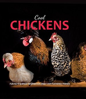 Cool Chickens Cool Chickens