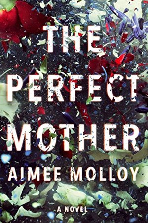 Perfect Mother: A Novel, The Perfect Mother: A Novel, The