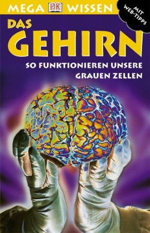 Das Gehirn: So funktionieren unsere grauen Zellen Das Gehirn: So funktionieren unsere grauen Zellen