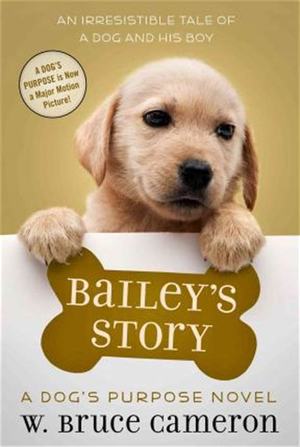 Bailey's Story Bailey's Story
