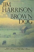 Brown Dog Brown Dog